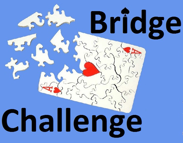 bridge challenge